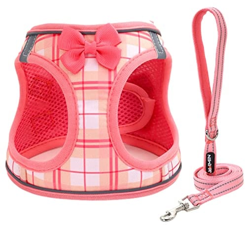 JdotMIN Plaid Dog Harness and Leash Set, Extra-Small/Small to Medium Dog and Cat Vest Harness No Pull, Escape Proof, For Walking Puppy and Kitten, For Travel and Car (Pink, XS)