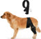 XQZMD Hunde Kniebandage Hinterbein, Hundebeinstützen Ellenbogenbandage Protector für Hunde Reduziert Schmerzen Entzündungen ACL-Kniescheibung Arthritis, Kreuzbandschiene (M)