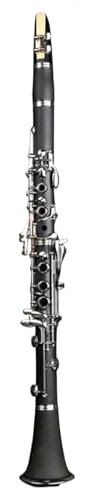 Klarinetteninstrument Einzelne Klarinette In B-Dur 17 Tasten Für Erwachsene Anfänger Professionelle Prüfung Holzblasinstrument(530)