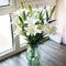 Fash Lady Hausgarten-anlage 5 Samen Echte Lilie Lilium longiflorum Schneiden Blumensamen