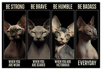 TNND Sphynx Cat Be Strong When You Are Weak Poster, Vintage-Wanddekoration, Heimdekoration, Vatertags-, Geburtstagsgeschenk, Metallschilder, 30,5 x 40,6 cm