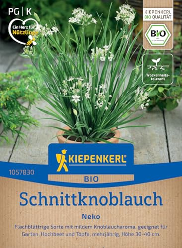 Kiepenkerl BIO Schnittknoblauchsamen Neko 1057830, Kräutersaat | Für Beete & Töpfe, Schnittlauchpflanze, Samen Kräuter, aromatisch