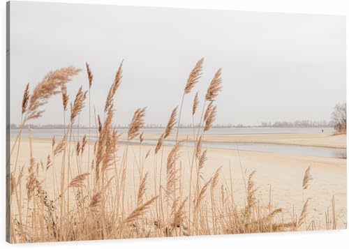 HUBDECO Leinwand Bilder Wohnzimmer - Bilder, Poster, Kunstdrucke - Leinwandbild - Bild auf Leinwand -Schlafzimmer Bilder - 100x70cm - Fünfteiliger Triptychon Boho Gräser Natur