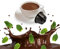 32 Capsules After Eight Chocolat et Menthe Compatibles Nescafè Dolce Gusto - Café Kickkick