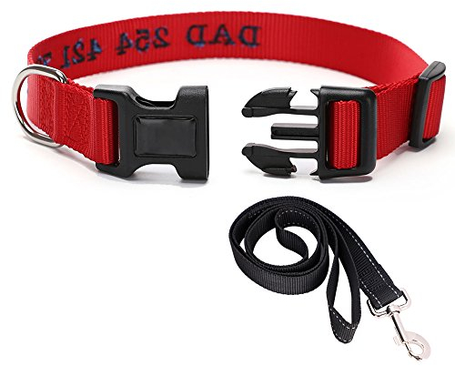 Hundehalsband mit Name Telefonnummer Adresse Individuell gestalten halsbänder aus Nylon Reflektierend dog collar verstellbar für Haustier Welpen Teddy große kleine hunde dünn mit hundeleine