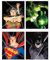 TRENDYPRINT DC Comics - Justice League - Alex Ross Art - Wonder Woman - Green Lantern - Superman - Batman - 4er-Set Wandkunst 20,3 x 25,4 cm - ideal zum Verschenken oder Sammeln