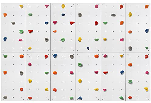 ALPIDEX Kletterwand Komplettset ab 1,44 qm in Natur/Weiß/Braun Klettergriffe und Befestigungsmaterial inklusive, unbegrenzt erweiterbar Kinder Erwachsene, Veredelt Weiß|12 Paneele (8.64 m²)|72 Griffe