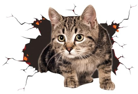 JNNJ Niedliche Katze Dekorationen, 3D Katze Aufkleber, Autoaufkleber, Benutzerdefinierte Auto Stoßstange Aufkleber, Dekoration Zubehör für Geländewagen(Typ1)