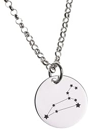 Silberketten Store DEIN SCHMUCK ONLINE SHOP Edle Erbskette 2mm mit Sternbild Anhänger LÖWE |echt 925 Silber | hochglanzpoliert mit Federringverschluß