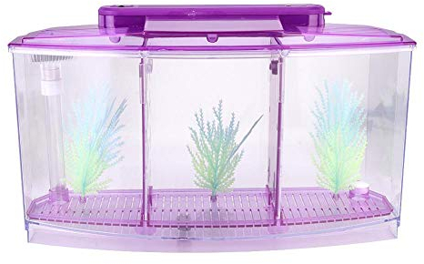 Hffheer Mini Aquarium DREI Divisionen Kleine Fische Zucht Isolation Box Acryl Fisch Garnelen Brutplatz mit LED-Licht und leuchtendem Wasser Gras(lila)