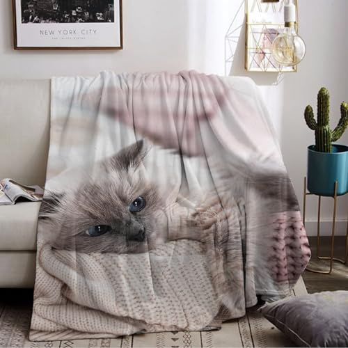 LLTTEER Katzemotiv Kuscheldecke für Kinder, Katzen Flanell Decke,Kinderdecke Katzemotiv Flauschige Plüsch Decke,Wohndecke Fleecedecke TV Decken für Bett Sofa (Cat 01, 130 x 150 cm)