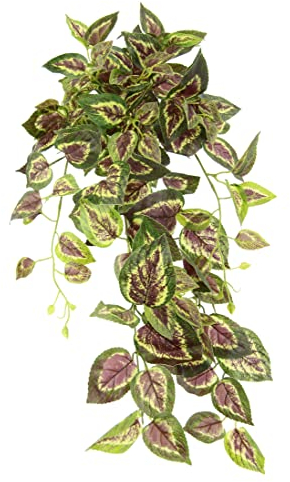 Flair Flower Künstlicher Buntnesselhänger Efeu Ranke Girlande Hängend Kunstpflanze Busch Hänger Pflanze Rankende Pflanzenampel Zimmerpflanze Kletterpflanze Efeuranke, 151724GNR, ca. 80x28x26 cm