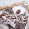 Kitten Deluxe Kalender 2024