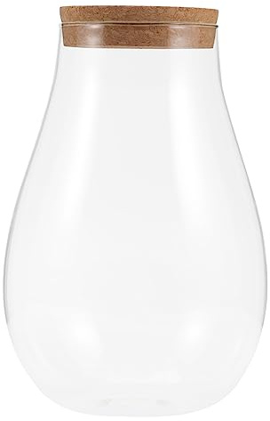 MOBUTOFU Terrario hidropónico para plantas de escritorio, botella de cristal transparente con cierre de madera, micro botella ecológica para decoración interior y reproducción de plantas, 20 x 14 cm