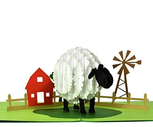 Rykamia Pop-Up-Karte Schaf, 15.2x19.8 cm, Pop-Up-Karte für alle Gelegenheiten, 3D-Geburtstagskarte, Genesungskarte, Glückwunschkarte, Jubiläumskarte, Karte für Freund, Mutter, Ehefrau, Vater, Ehemann