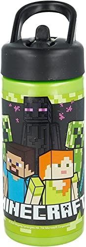 Stor BOUTEILLE PLAYGROUND DE 410 ML MINECRAFT