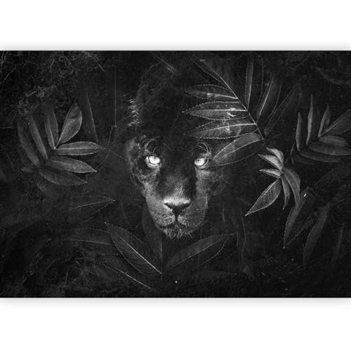 murando - Papier peint panoramique animal 150x105 cm - Revêtement mural décoration pour chambre salon - Design moderne - Noir blanc gris - Panthère chat noir chat sauvage jungle g-C-10080-a-a