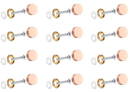 Wopanxye 12pcs 10mm Mirror Screws with Decorative Cap Cover Nails for Mirror Tables Bath Plates Panles Wardrobes Glass Signboards Acrylic Sheet Furniture Fittings Stainless Steel Brushed Brass Chrome