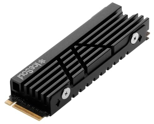 DolDer M.2 2280 SSD dissipatore di calore in alluminio, adatto per installazione PC/PS5/PS5 Slim/Pro, 73 x 24 x 11 mm, incluso Thermal Pad (006 Pro nero)