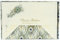 Generisch Rossi - 10er Design Briefkarten Set inkl. Briefbox „Pfauenfeder“ aus Italien 10 Bögen aus Schreibpapier & DIN B6 Brief-Kuvert - Schöne edle Brief Umschläge & Briefpapier (mit Goldprägung)