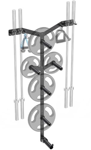 Lifeswell Wall Mounted Weight Plate Rack, Heavy Duty Olympic Barbell Holder & T Bar Row Landmine Attachment, 6 Hook Holes, 5 Pegs & 4 Barbell Storage, Space-Saving Home Gym Organizer
