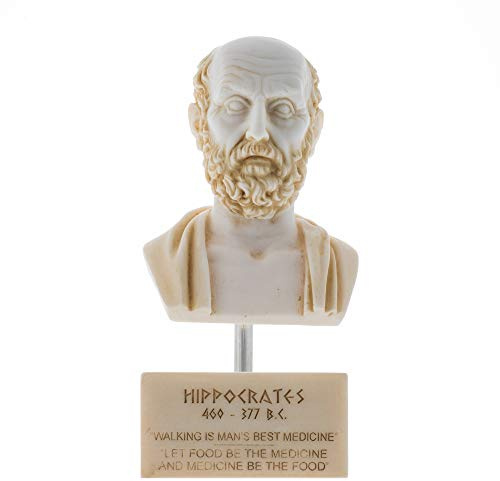 Hippocrates of Kos Vater der Medizin Alabaster Büste Statue Marmorsockel