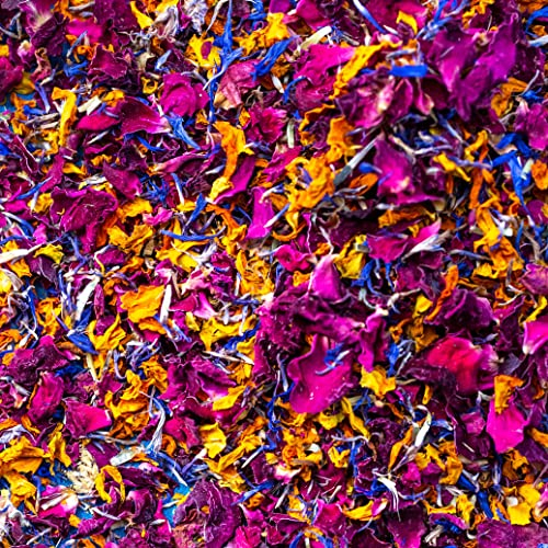 'Marokkanische Flamme' 1 Liter Burgunderrotes Rosen-, orangefarbenes Ringelblumen- und blaues Kornblumen-Hochzeitskonfetti Ökologisch biologisch abbaubare natürliche Blütenblätter (330)