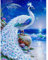 Starnearby DIY Diamond Painting Pfau Bilder, Geschenke für Frauen/Mama Deko, Voller Diamant Bilder für Malen Nach Zahlen Erwachsene 30 * 40 CM(A)