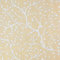 novely® HANAU TWIG - Dekostoff mit Blumen-Print - Robuster Möbelstoff - Pflegeleichte Meterware 1lfm (01 Pastell Orange Eierschale)