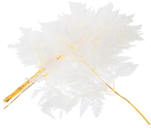 Levemolo Getrockneter Farnstrauß Weiß Konservierte Pflanzen Dekoration Wiederverwendbar Für Tischdeko Selbstgemacht Vasen Schmuck Hochzeits Und Wohnambiente