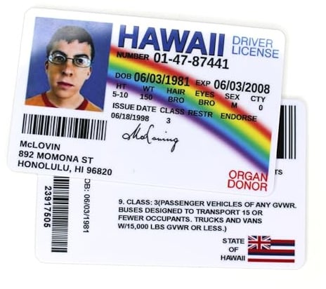 DUB SPENCER McLovin Fake Führerschein – Lustiger Scherzartikel Ausweiskarte aus Kunststoff, 86 x 54 mm, Gag Geschenk für Filmfans, Geburtstag und Weihnachten, 1 Stück