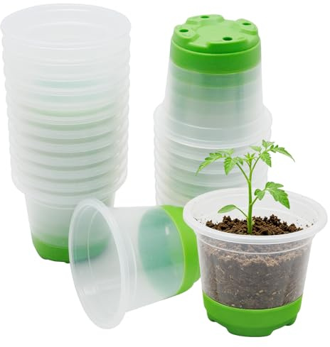 MospdyGear 24 Pflanztöpfe, Transparente Kunststofftöpfe, 10 cm Durchmesser, Geeignet für die Aufzucht von Blumen, Gemüse und Kräutern, Grün (24 Stück)