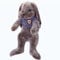 ANBTUKJ Toys Kuscheltier Hase mit Schlappohren, Dunkelbraun superweich 35cm Plüsch Kaninchen, Kuscheltier Plüschtier für Jungen, Mädchen & Babys ab 0 Monaten