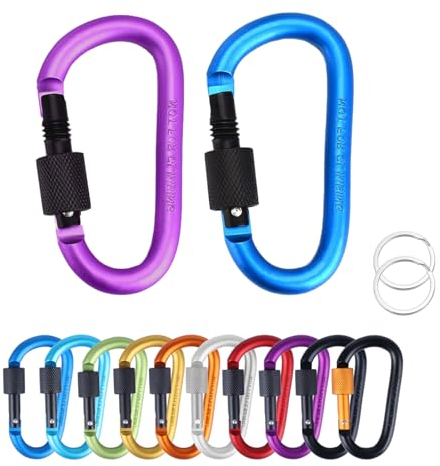 MORAINJAY 2 Pièces Mousqueton Aluminium en Forme D avec Verrouillage à vis,Mousqueton Tactique pour Camping, Extérieur,Vélo,Laisses de Chien(Violet&Bleu)