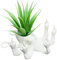 GZBXCMLO Pot de fleurs amusant en forme de pieuvre avec doigt d'honneur - Un vase amusant pour le cadeau avec une touche vive, vous pouvez mettre le pot de fleurs amusant en résine pour plantes