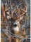 Fumupe Cerf Diamond Painting Adulte, 5D Diamond Painting Animaux Broderie Diamant Kit Complet, DIY Peinture Diamant Strass Point de Croix Cristal Painting pour Murale Décoration 30x40cm