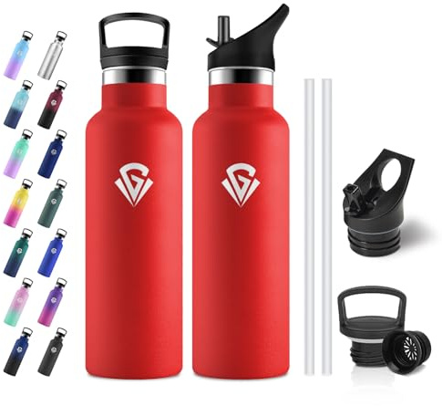 JAPORIA Borraccia Termica 500ml, Bottiglia Acqua senza BPA, Isolamento Termico a Doppia Parete, Borraccia con Cannuccia per Scuole, Viaggio, Uffici