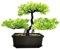 MOVKZACV Künstliche Bonsai-Baumdekoration für Eingangsbereich, Schlafzimmer, Ästhetisch und Bauernhaus, Badezimmer, Bücherregal, Zimmer, Schreibtisch, Dekoration, 28 x 21,8 cm, Rot