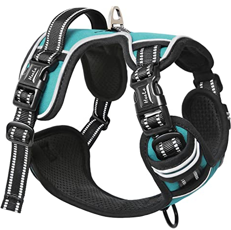 HEELE Hundegeschirr ohne Zug, Brustgeschirr für große Hund, einstellbares reflektierendes Hunde Geschirr, atmungsaktive Hundegeschirre mit gepolstertem Griff, No-Pull Dog Harness, Türkis, L