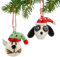 HDCRYSTALGIFTS Weihnachtsbaumschmuck, Set mit 2 geblasenen Glas, Motiv: Katze und Hund mit Hüten, niedliche Weihnachtsanhänger, Weihnachtsbaumdekoration für Zuhause, Party, Geschenke