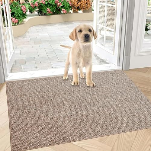 Schmutzfangmatte Innen 80x100 cm, Rutschfest Fußmatte Außen und Innen, Waschbar Sauberlaufmatte Türmatte, Wasserdicht Eingangsteppich, Absorbierend Fussmatte für Eingang, Haustür (Braun, 80 x 100 cm)