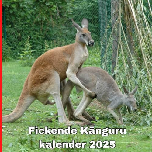 Fickende Känguru kalender 2025