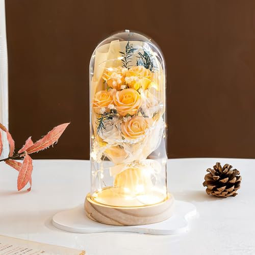 HEINexoria Preserved Roses in Glass Dome with Warm LED Light – Elegant Forever Flower Gift for Her, Mum, Wife, Birthday, Anniversary, Valentine's Day