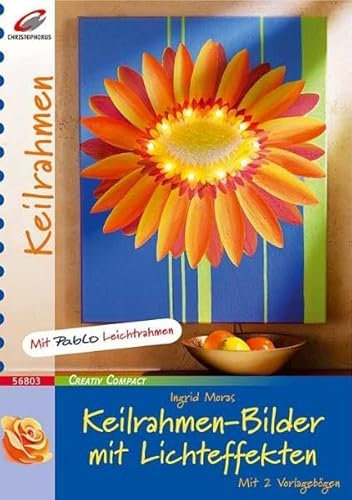 Keilrahmen-Bilder mit Lichteffekten (Creativ Compact)