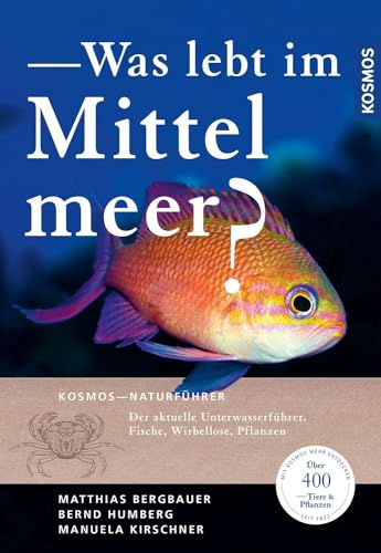 Was lebt im Mittelmeer?: Der aktuelle Unterwasserführer: Fische, Wirbellose, Pflanzen mit über 400 Arten