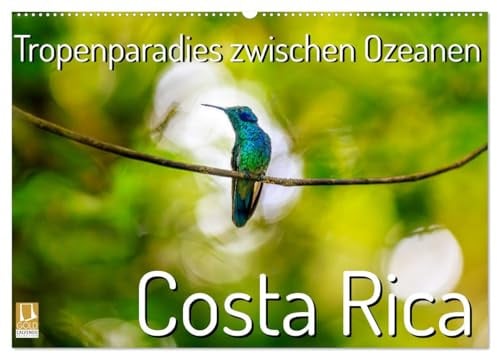 Tropenparadies zwischen Ozeanen Costa Rica (Wandkalender 2026 DIN A2 quer), CALVENDO Monatskalender