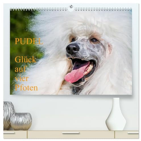 Pudel - Glück auf vier Pfoten (hochwertiger Premium Wandkalender 2026 DIN A2 quer), Kunstdruck in Hochglanz: Auf 13 traumhaft schönen Fotos zeigt die ... diese alte schöne Hunderasse (CALVENDO Tiere)