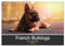 French Bulldog aktiv, verspielt, sportlich (Wandkalender 2026 DIN A4 quer), CALVENDO Monatskalender (CALVENDO Tiere)