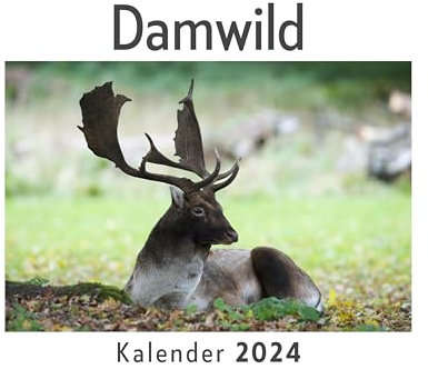 Damwild (Wandkalender 2024, Kalender DIN A4 quer, Monatskalender im Querformat mit Kalendarium, Das perfekte Geschenk)