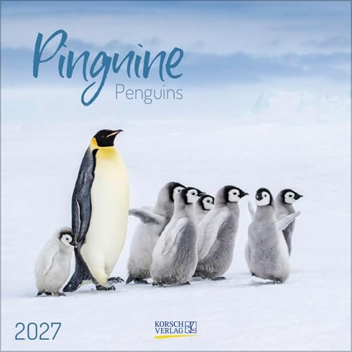 Pinguine 2027: Broschürenkalender mit Ferienterminen. 30 x 30 cm - Wandkalender